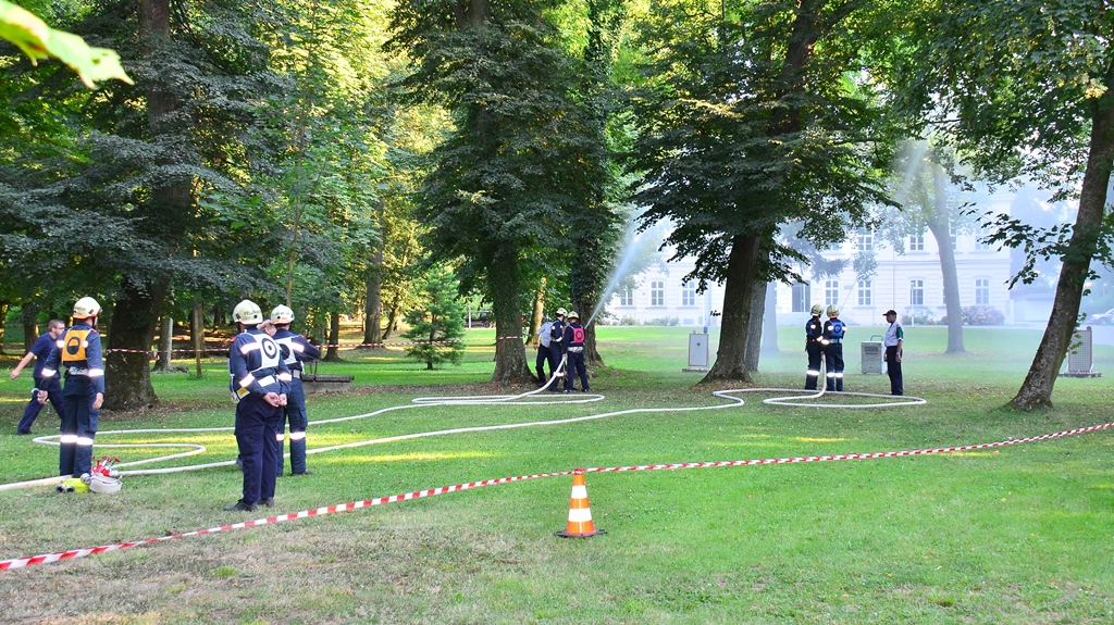 ffw 150807 ff-fest-tag-1-helmut-015